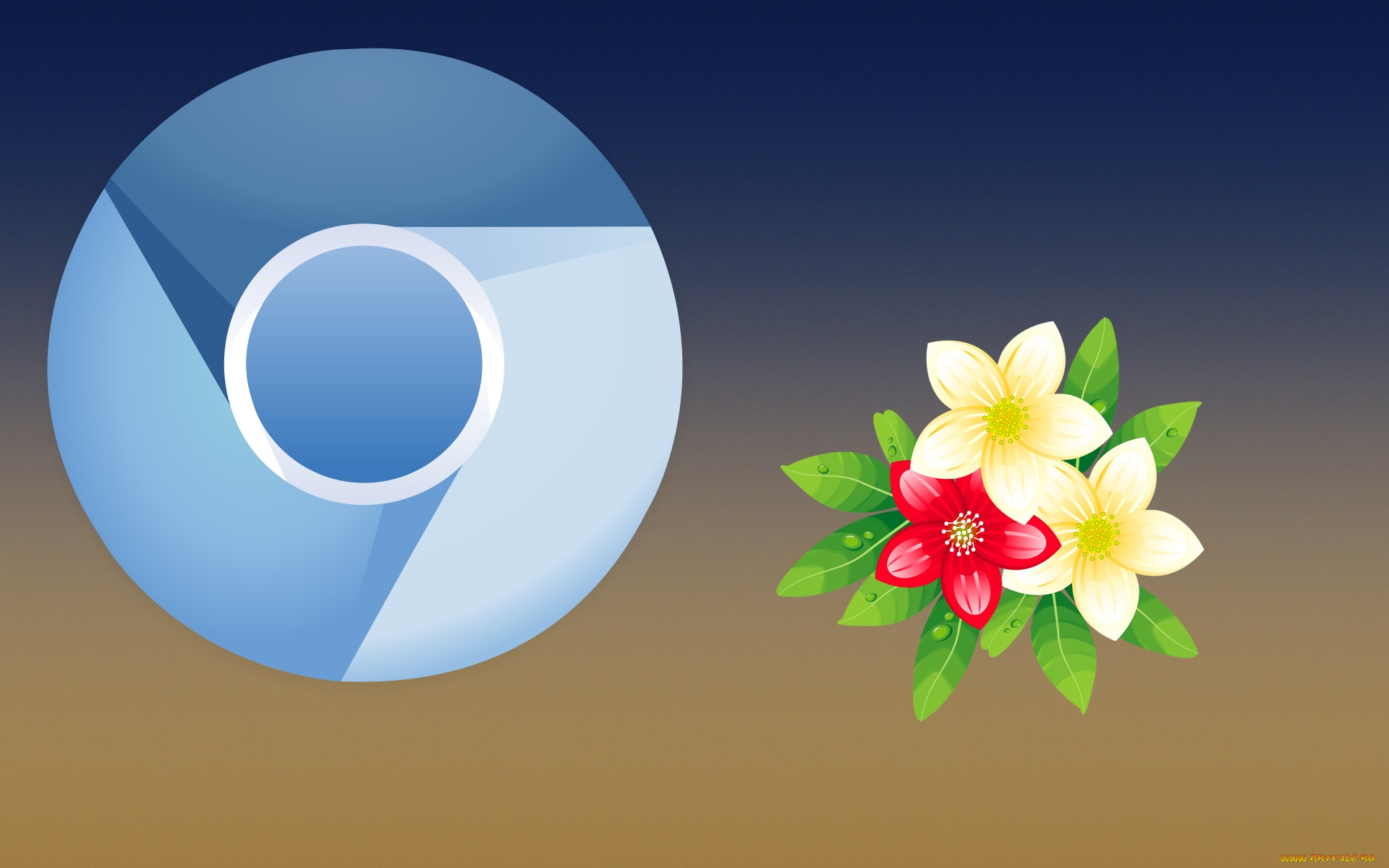 , google,  google chrome, , 